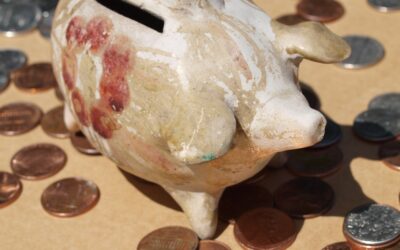 La bioeconomia: un’opportunità per l’ambiente e l’economia