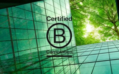 Aziende B Corp in Italia: chi sono e cosa fanno
