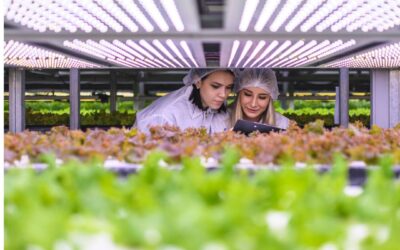 Sostenibilità e Crescita: Approvato Regime di Aiuti UE da 910 Milioni per il Settore Agricolo Italiano